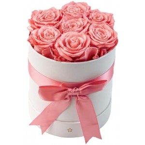 AROMEO 7 Pink Roses | Roses for Delivery Prime | Valentines Day Gifts | Preserved Fresh Flowers for Delivery Prime Tomorrow or Next Day | Gifts for Her, Mom, Mother, Girlfriend, Wife, Anniversary, Birthday