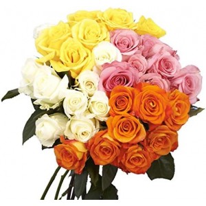 50 Assorted Roses- Two Beautiful Colors- Fresh Cut Flowers Next Day Delivery